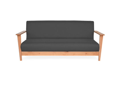 Sofá cama San Carlos Gris Grafito